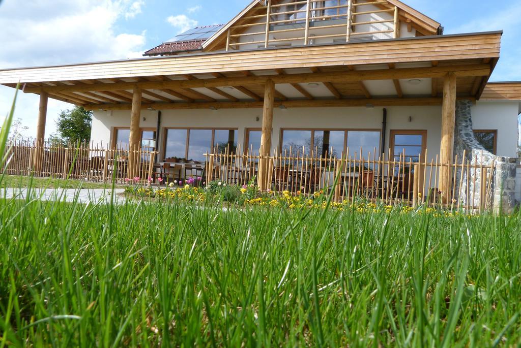 Guest House Eco Vila Mila Rogaska Slatina Bagian luar foto